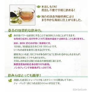 EXTRACT くわの葉茶 4g×60包入 あ...の詳細画像2