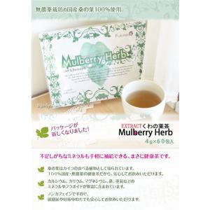 EXTRACT くわの葉茶 4g×60包入 あ...の詳細画像3