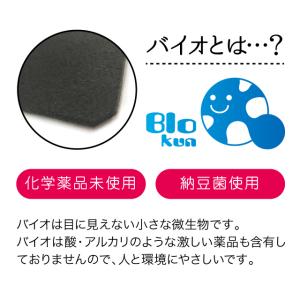 貼るだけバイオくん 天井からお風呂さわやか♪ ...の詳細画像1