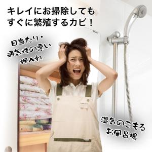 貼るだけバイオくん 天井からお風呂さわやか♪ ...の詳細画像2