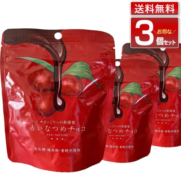 赤いなつめチョコ 内容量 40g 3個セット｜マンジェリコン グランドフードホール 赤い なつめ ナ...