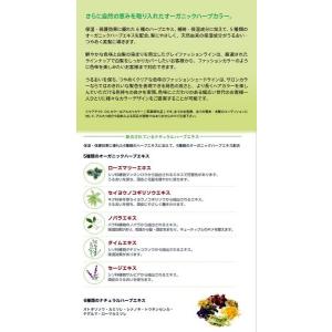 ナプラ ケアテクトOGカラー(ナチュラル)(ア...の詳細画像2