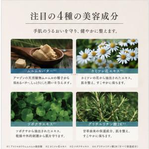 (20個セット 送料無料)2026年版 NEW...の詳細画像2