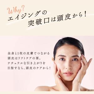 ポイント10倍 WAVEWAVE 正規販売店 ...の詳細画像4