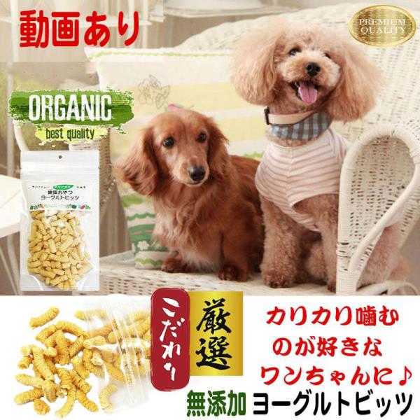 犬 おやつ ガム 犬のおやつ ドッグフード 犬用おやつ 無添加 乳酸菌 犬おやつ 犬ガム 犬用ガム ...