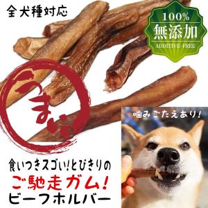 犬 おやつ 犬のおやつ 無添加 ビーフホルバー 国産 牛肉 低脂肪 ドッグフード 犬用おやつ 犬おやつ ガム 犬のガム 長持ち ジャーキー 小型犬 中型犬 大型犬
