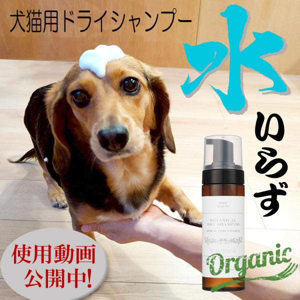 犬 猫 シャンプー ドライシャンプー 犬用シャンプー 犬シャンプー 猫用シャンプー 猫シャンプー 泡...