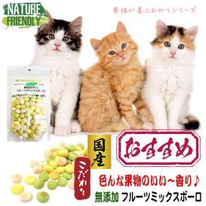 猫用おやつ（原材料：果物、フルーツ）｜キャットフード｜猫用品 