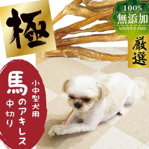 ハーツ チューデント（ガム）（64446） : 大型犬用品専門店 アイアン