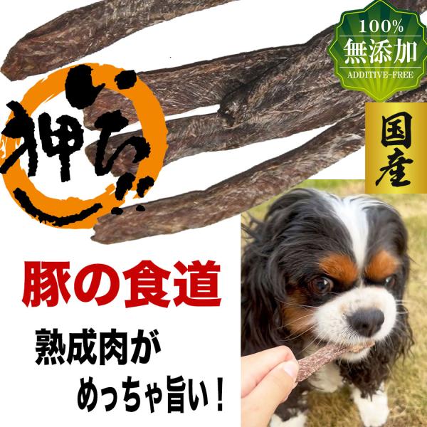 犬 おやつ 犬のおやつ 犬用ガム 犬のガム 犬用おやつ 無添加 国産 低脂肪 ドッグフード 硬い 犬...