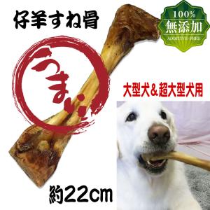 犬 おやつ 犬のおやつ 無添加 大型犬 羊 骨 低脂肪 ギフト ドッグフード 犬用おやつ 犬おやつ ガム 犬のガム 犬用ガム 長持ち 犬用おやつ骨 中型犬