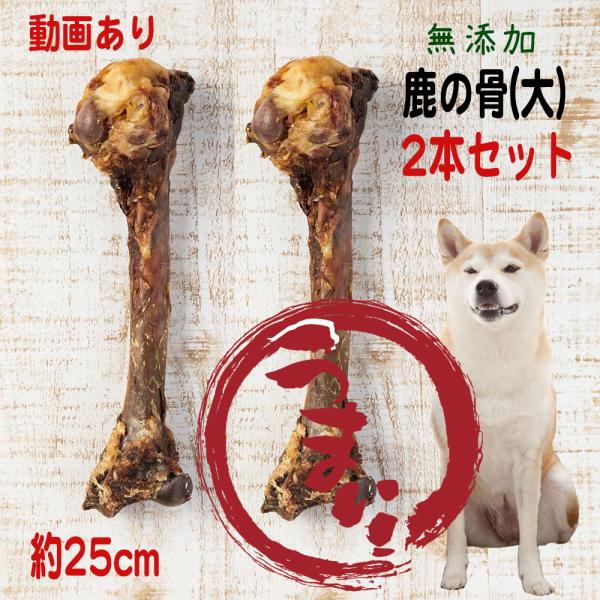 犬 おやつ 骨 犬のおやつ 犬おやつ ドッグフード 犬用おやつ 無添加 ガム 犬おやつ骨 犬ガム 犬...