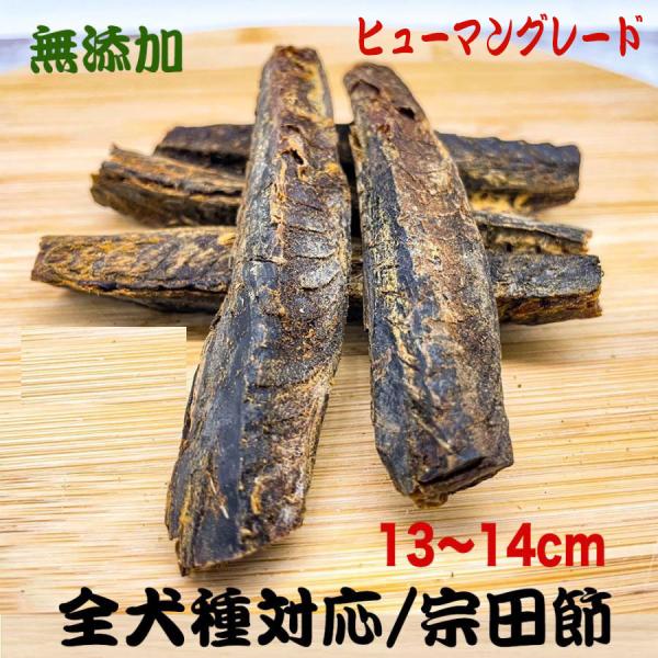 犬 おやつ 犬のおやつ 犬用おやつ 犬おやつ 無添加 国産 宗田節 魚 煮干し 長持ち ガム 歯磨き...