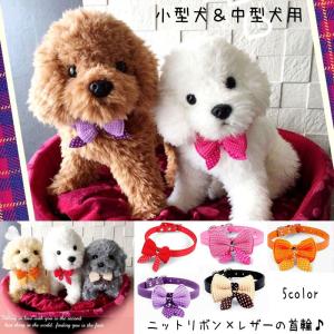 犬 猫 首輪 犬首輪 犬の首輪 犬用首輪 おしゃれ かわいい