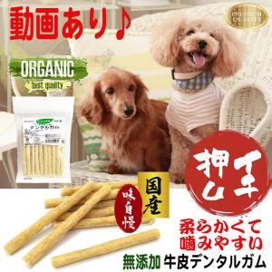 ドッグフード 無添加 犬 おやつ 犬のおやつ 犬用おやつ 犬おやつ 国産 犬ガム 犬用ガム 犬のガム 長持ち アレルギー ジャーキー ガム 牛皮 小型犬 中型犬｜bijouterieshop