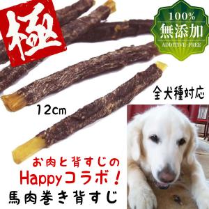 犬 おやつ 犬のおやつ ドッグフード 無添加 馬肉 ジャーキー ガム 犬おやつ 無着色 長持ち 低脂肪 犬のガム 小型犬用 中型犬用 大型犬用 カット Nikukuma Brownie Sweet 通販 Yahoo ショッピング