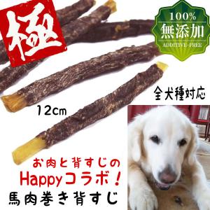 犬 おやつ ガム 犬のおやつ ドッグフード 犬用おやつ 無添加 馬 背すじ 犬おやつ 犬ガム 犬用ガム 犬のガム 長持ち アレルギー 低脂肪 馬肉 犬用 ジャーキー