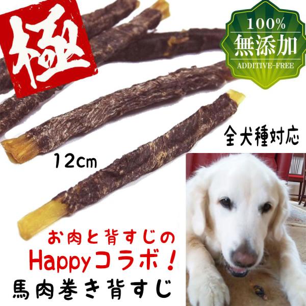 犬 おやつ 犬のおやつ 無添加 背すじ 馬肉 馬 低脂肪 ドッグフード 犬用おやつ 犬おやつ ガム ...