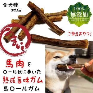 犬 おやつ 犬のおやつ 犬用おやつ 犬おやつ 無添加 馬 馬肉 ガム 犬のガム 犬用ガム 犬ガム 長持ち アレルギー 柔らかい 低脂肪 小型犬 中型犬 大型犬