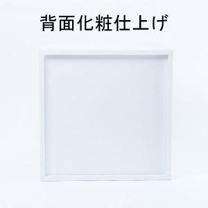 キューブボックスα 書類棚 書類ケース 書類整...の詳細画像3