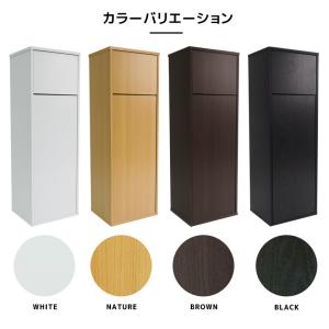 ダストボックス ゴミ箱 おしゃれ 45リットル...の詳細画像1