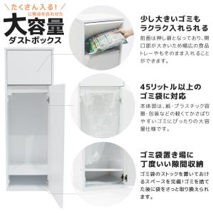 ダストボックス ゴミ箱 おしゃれ 45リットル...の詳細画像5