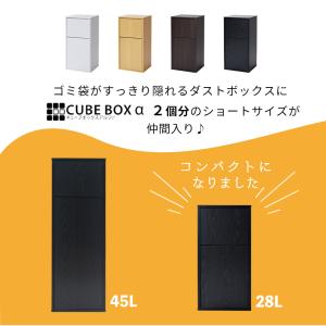 キューブボックスα ダストボックス ショートタ...の詳細画像1