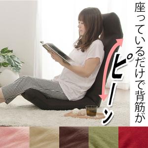 低反発折りたたみ座椅子(2個組) SOTT-1512C-GY-2 : Drink&Dream D-Park