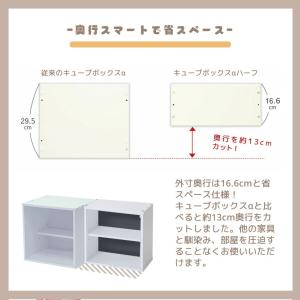 壁掛け キューブボックスα ハーフ 改 背面ブ...の詳細画像1