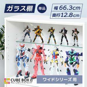 オプションパーツ キューブボックスα ワイド / ワイドディープ ハイ