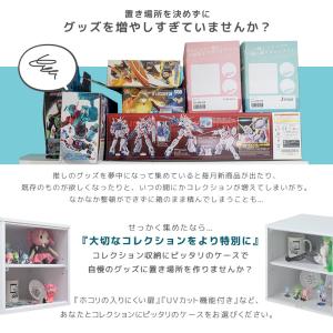 コレクションケース キューブボックスα (可動...の詳細画像1
