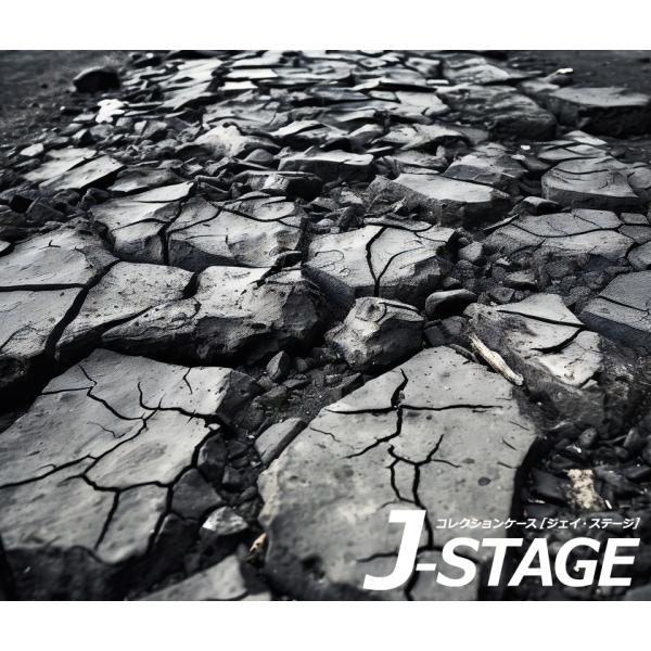 J-STAGE スタンダード レギュラータイプ専用 底面デザインシート 乾いた大地 乾燥 地面 地表...