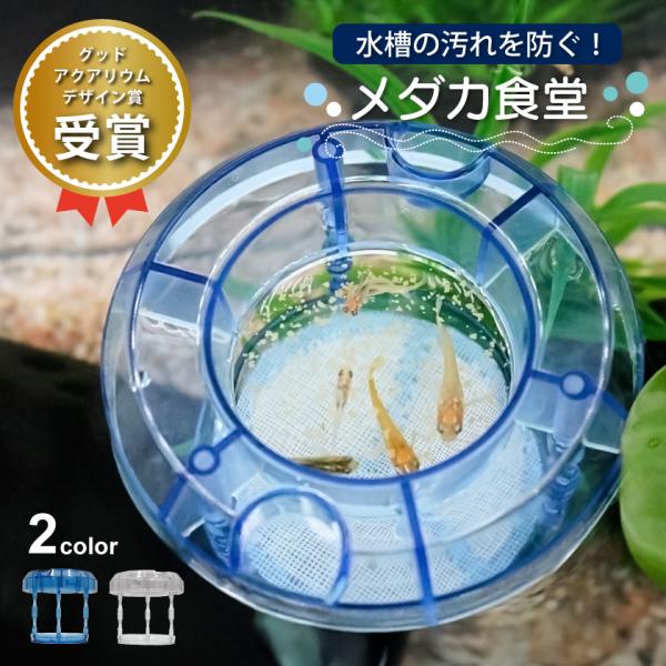 ＼エサの拡散を防ぎ、食べ残し、水汚れ防止！／ メダカ食堂 めだか エサ 食べ残し 容器 金魚 餌 受...
