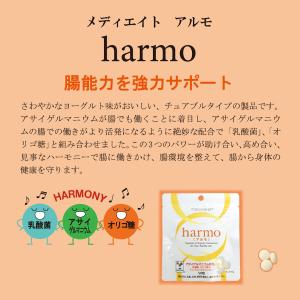 アルモ 3袋セット 乳酸菌 オリゴ糖 肌荒れ ...の詳細画像1