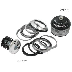 TERN ターン x Kitt design SMI 368 Carbon Fork カーボンフロント