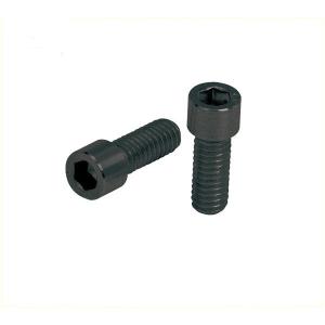 ERGON ボルト  GE1 スリム GA2用)