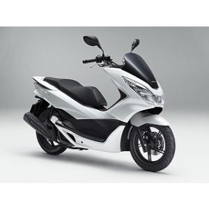 HONDA　ホーネット250 外装セット　パールサンビームホワイト ホーネット250 パールサンビームホワイト ウレタン塗料1kgセット
