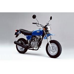 エイプ(APE)50 プラズマイエロー ウレタン塗料1kgセット : バイク