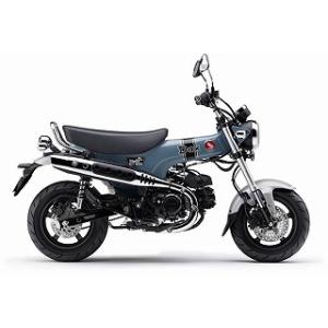 GB350S パールディープマッドグレー ウレタン塗料250gセット : バイク