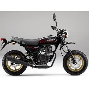 エイプ(APE)50 ファイティングレッド ウレタン塗料500gセット : バイク