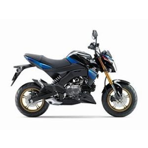 Z125PRO キャンディーライムグリーンタイプ3 ウレタン塗料500gセット