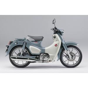 スーパーカブc125 純正色塗料 マットアクシスグレーメタリック 250g
