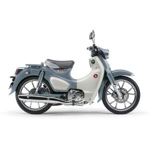 スーパーカブc125 純正色塗料 パールカデットグレー 250gセット