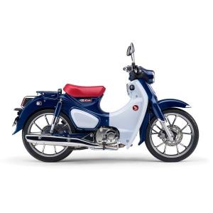 スーパーカブc125 純正色塗料 マットアクシスグレーメタリック 250g