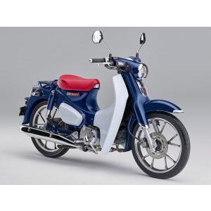 スーパーカブc125　純正色塗料 　パールニルタバブルー　250gセット∝｜bike-paint