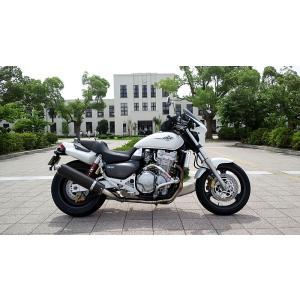 X-4 X-11 CB400SF 汎用ビキニカウル DS-01タイプR [パールクリスタルホワイト] 風防 カスタムパーツ｜bike-world-walk