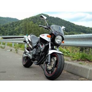 ワールドウォーク（WORLD WARK） VTR250 ホーネット250 汎用ビキニ
