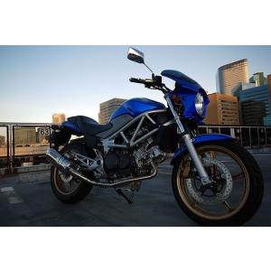 VTR250 ビキニカウル [DS-01] タイプRスクリーン 純正色塗装 ABS製 ボルト付 風防 カスタムパーツ｜bike-world-walk