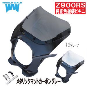ワールドウォーク（WORLD WARK） 日本製 職人塗装 Z900RS ビキニカウル