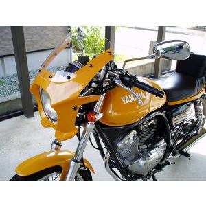 ワールドウォーク（WORLD WARK） SRV250ルネッサ ビキニカウル タイプR